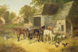 Paarden in Harnas
