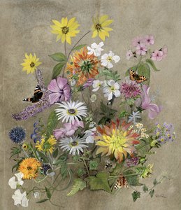 Zomerbloemen