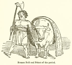 Romeinse Stier en Priester van de Periode