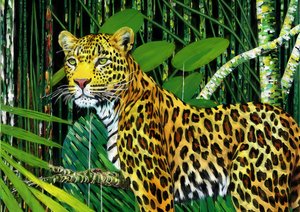 Dieren: luipaard 1