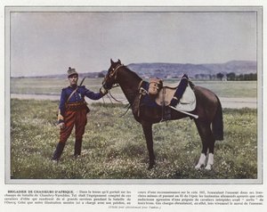 Brigadier van de Afrikaanse jagers
