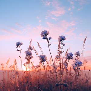 bloemenveld 2