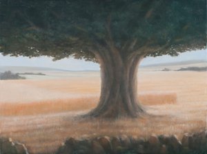Boom, Holwell, 2012
