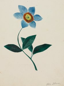 Sterbloem