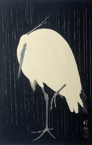 Reiger in de Regen