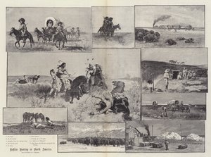 Buffeljacht in Noord-Amerika