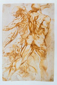 Anatomische studies: Naakten in gevecht