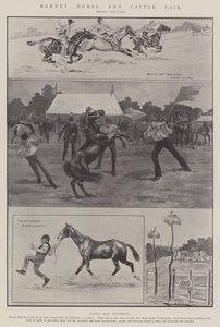 Barnet Paarden- en Vee Markt