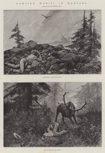 Jagen op Wapiti in Montana