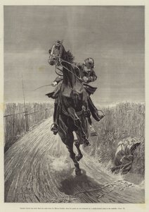 Maruja, door Bret Harte
