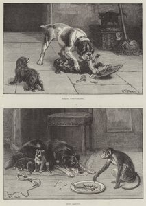 Honden en Voedsel