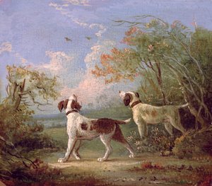 Spaniëls in een landschap