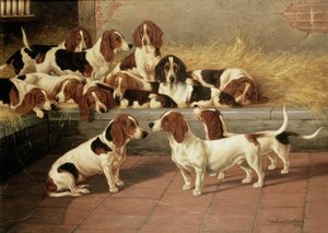 Basset Hounds in een Kennel, 1894