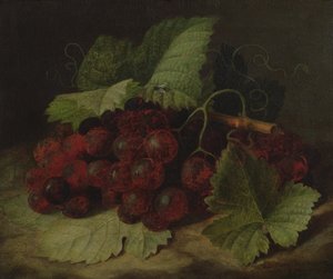 Stilleven van Druiven