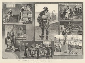 De Franse Sardine-industrie