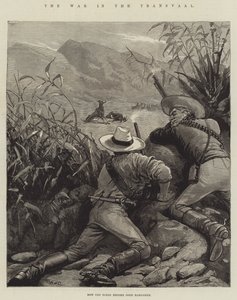 De oorlog in de Transvaal