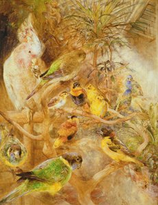 Vogelvolière, 1871