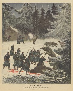 Een invasie van beren in Rusland