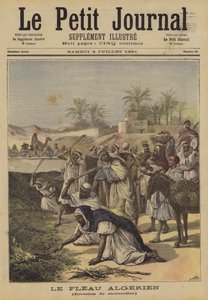 De Algerijnse plaag