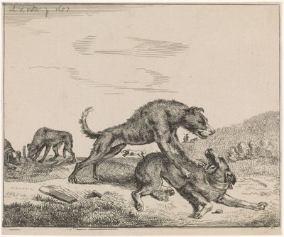 Vechtende honden door Adriaen van de Velde