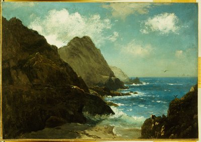 Farallon-eilanden door Albert Bierstadt