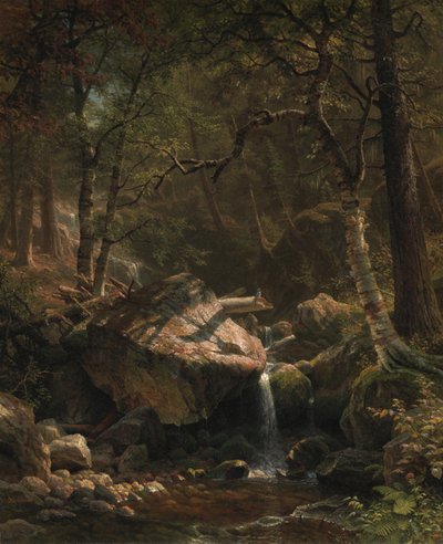 Bergbeek, 1863 door Albert Bierstadt