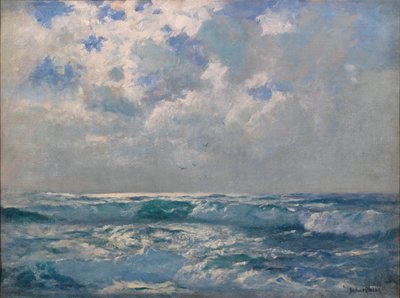 De zilveren zee door Albert Julius Olsson