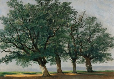 Vier Grote Bomen door Alexandre Calame