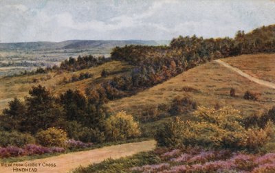 Gibbet Cross, Hindhead door Alfred Robert Quinton