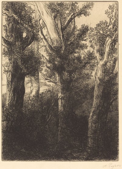 Duitse Bos, Downley door Alphonse Legros