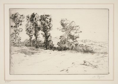 Le pre ensoleille (Weide in Zonneschijn) door Alphonse Legros