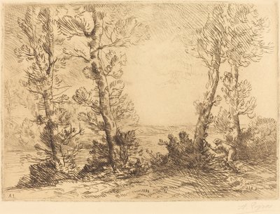 Zalmvisser door Alphonse Legros