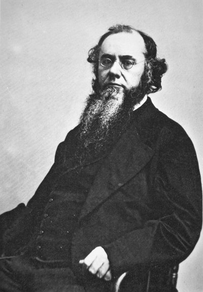 Edwin M. Stanton (1814-69) door American Photographer