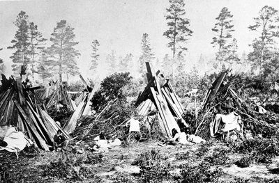 Yosemite Indianen Hutten, ca. 1870s door American Photographer