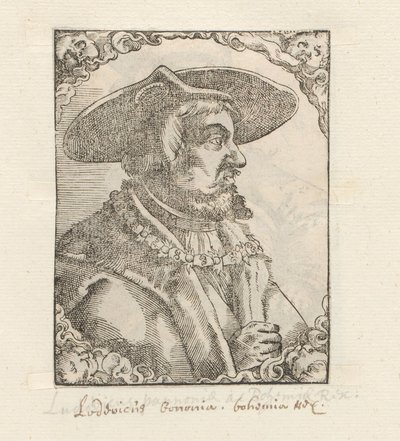 Portret van Lodewijk II van Hongarije door Anonymous