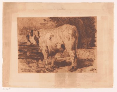 Stier in de wei door Auguste Danse (signed by artist)