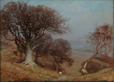 Beuken op de Quantocks, 1885-1924 door Benjamin Haughton