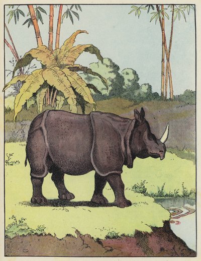 Indische neushoorn door Benjamin Rabier