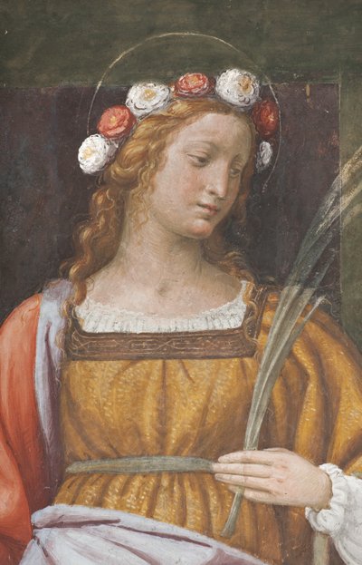 Sint Rosa (detail) door Bernardino Luini