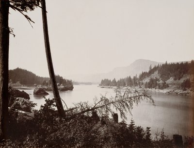 Uitzicht op de Columbia, Cascades door Carleton Emmons Watkins