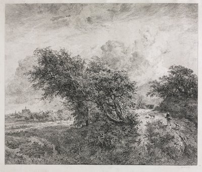 Het Struikgewas door Charles Francois Daubigny