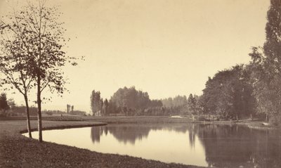 Bois de Boulogne, 1858 door Charles Marville