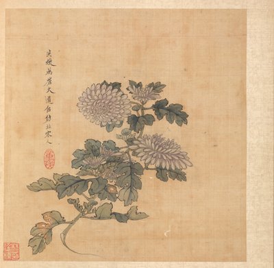 Schilderijen naar oude meesters: Chrysant, 1598-1652 door Chen Hongshou