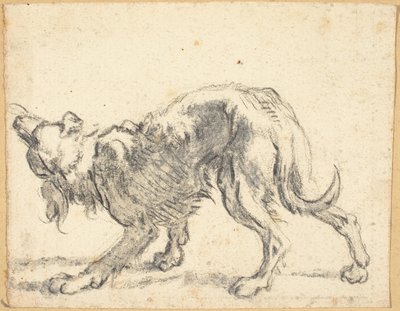 Een hond door Cornelis Saftleven