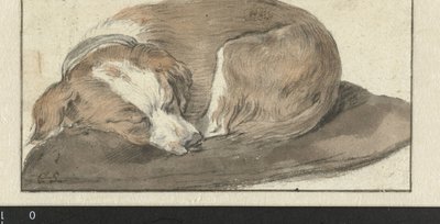 Slapende hond door Cornelis Saftleven