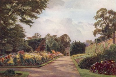 Vroege chrysanten, Claremont door Cyril Ward