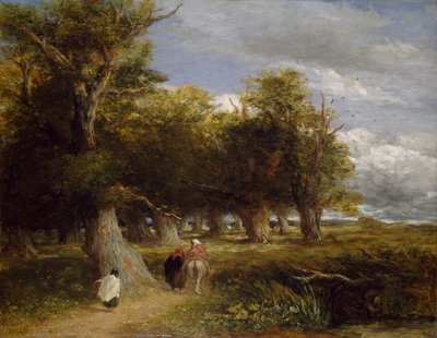 Randen van het bos, 1855 door David Cox