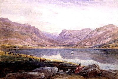 Tal-y-llyn, Noord-Wales door David Cox