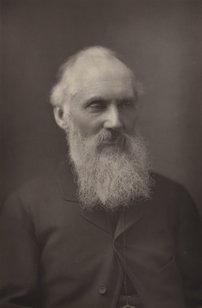 Sir William Thomson door English Photographer