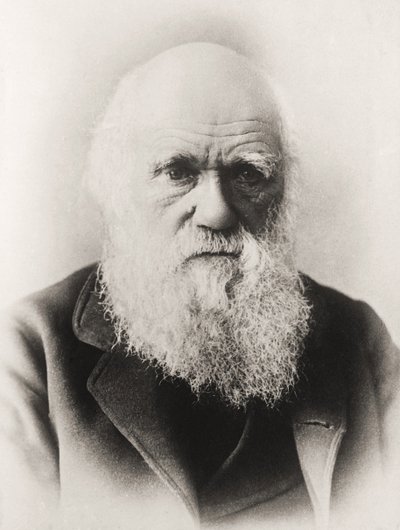 Charles Darwin door English School